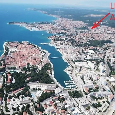 Light Ζαντάρ